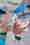 20180904_sfits_26